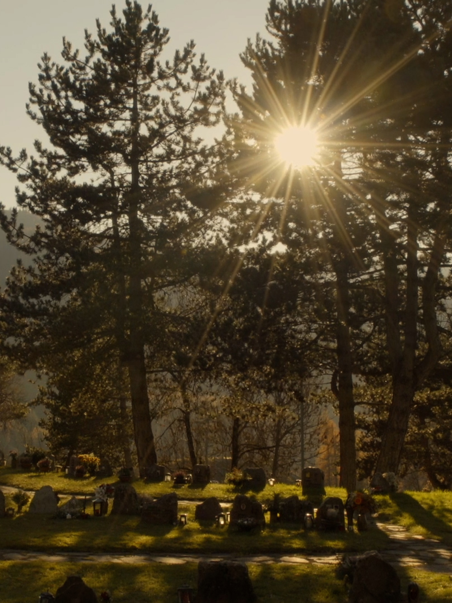 Cimitero immerso nel verde al tramonto con luce filtrata tra gli alberi